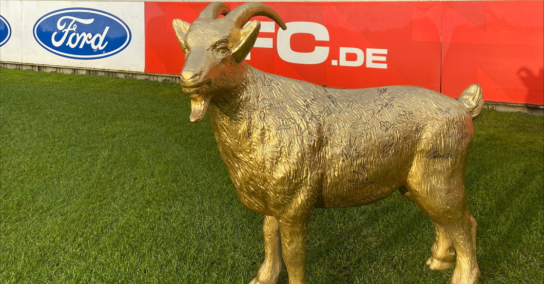  Geissbock gold FC Köln 