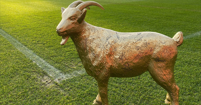  Geissbock gold FC Köln 