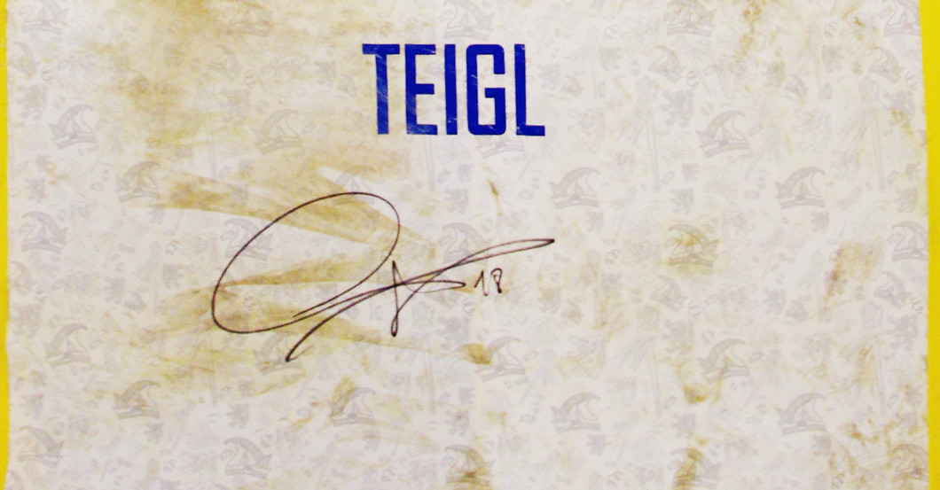 Georg Teigls Sondertrikot   Georg Teigls Sondertrikot