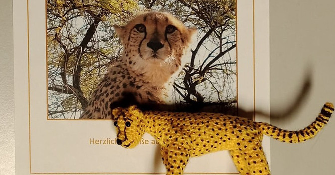  Gepardenpate und Häkel 