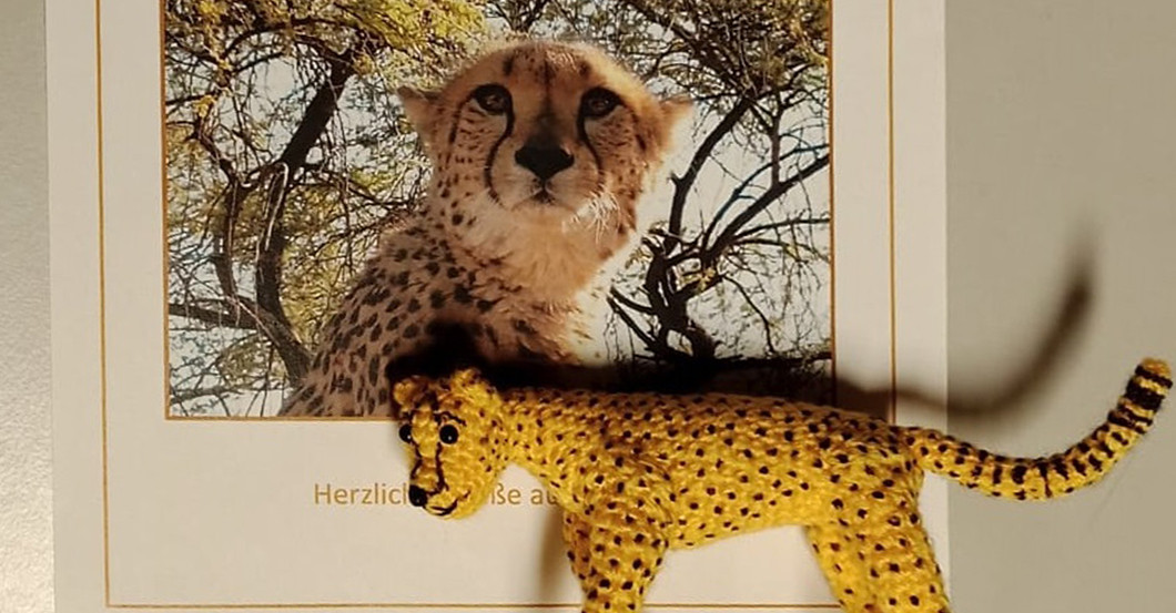  Gepardenpate und Häkel 