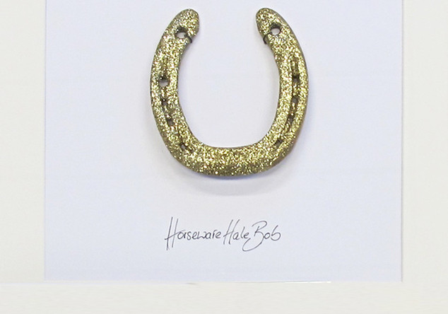  Gerahmtes Hufeisen Bobby 