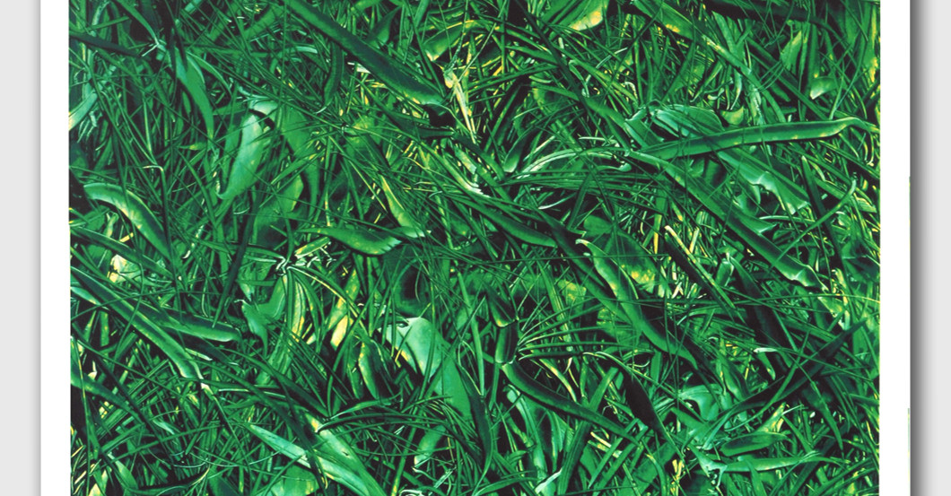 Gerhard Neumaier Werk   Gerhard Neumaier Werk