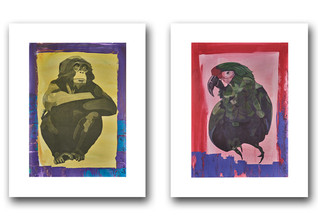  GF Auersperg Rotterdam 