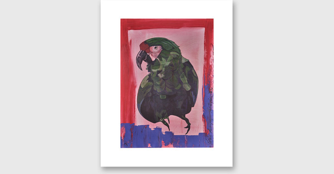 GF Auersperg Rotterdam   GF Auersperg Rotterdam