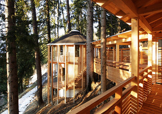  GF Biohotel Grafenast 