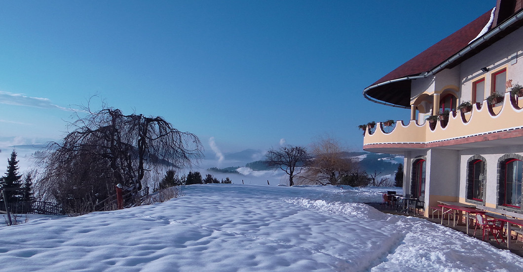  GF Biolandhaus Arche 