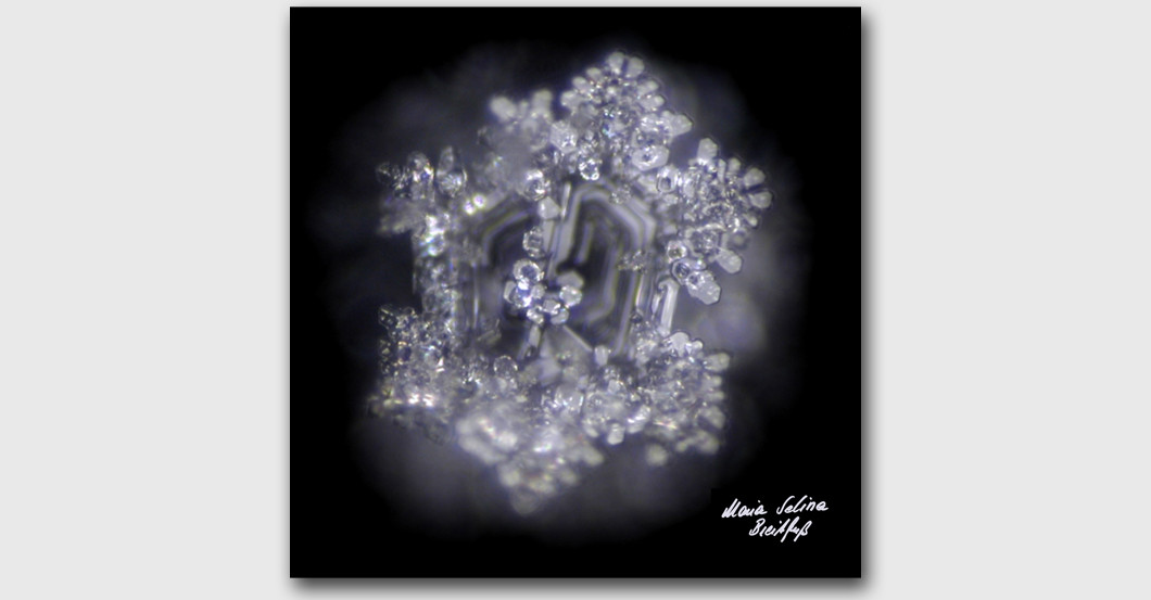 GF Breitfuss Kunstwerk   GF Breitfuss Kunstwerk