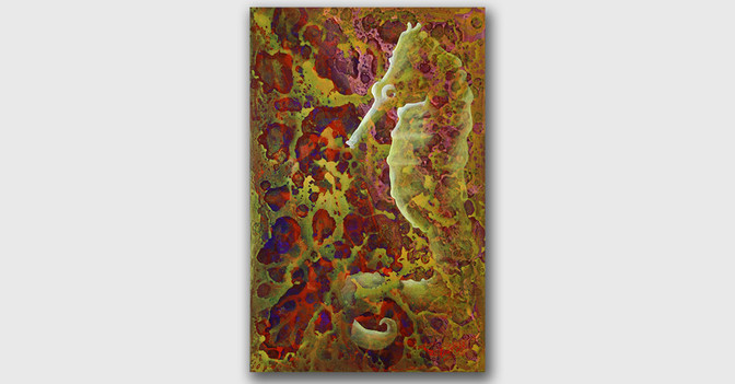 GF Cleo Ruiz Seepferd   GF Cleo Ruiz Seepferd