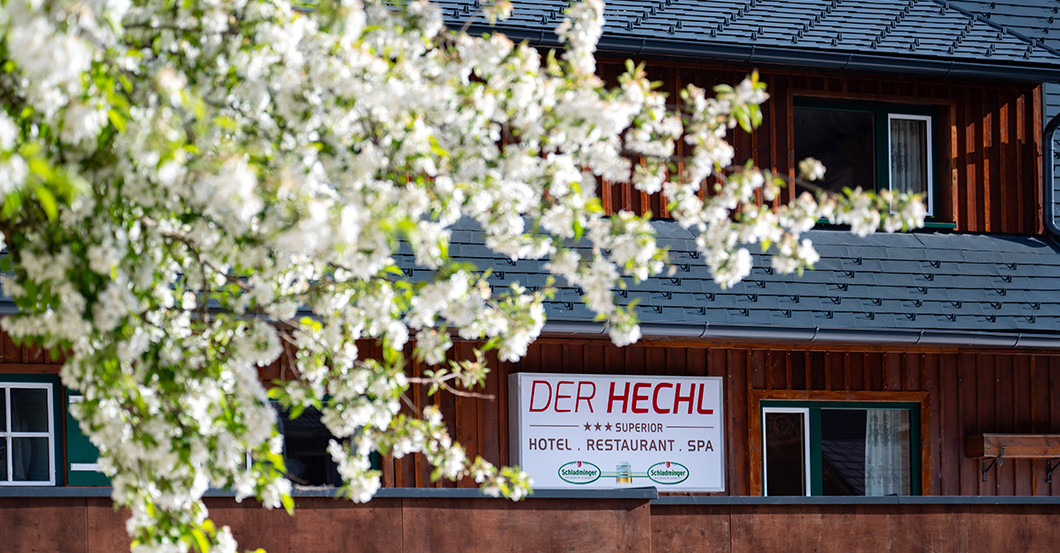 GF Der Hechl   GF Der Hechl