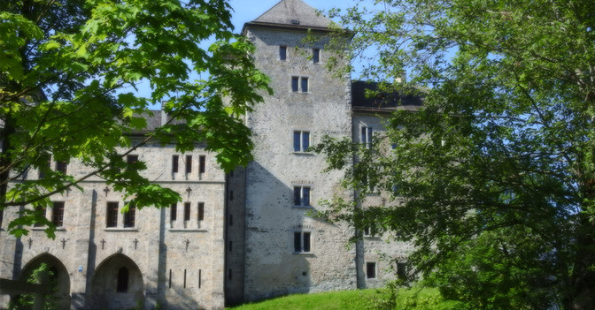 GF Fischhorn Scheschareg   GF Fischhorn Scheschareg