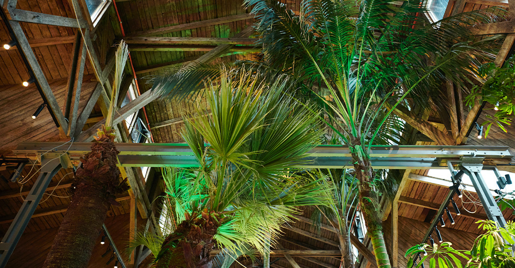 GF Flohmarkt Wien   GF Flohmarkt Wien