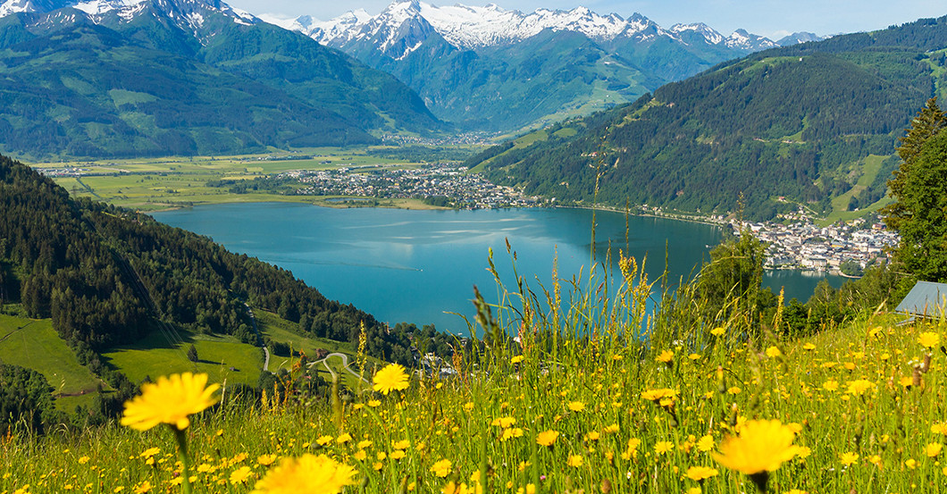 GF Leaving Lederers    GF Leaving Lederers