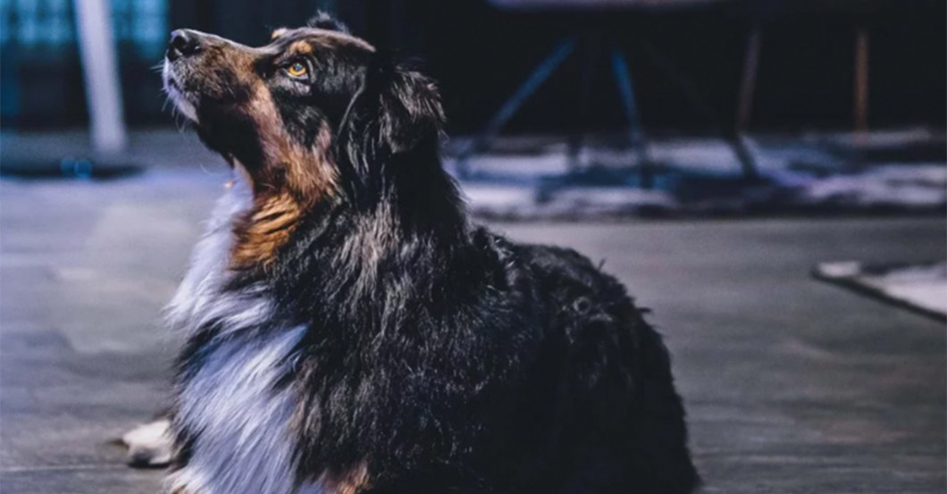 GF Lederer Kaprun   GF Lederer Kaprun