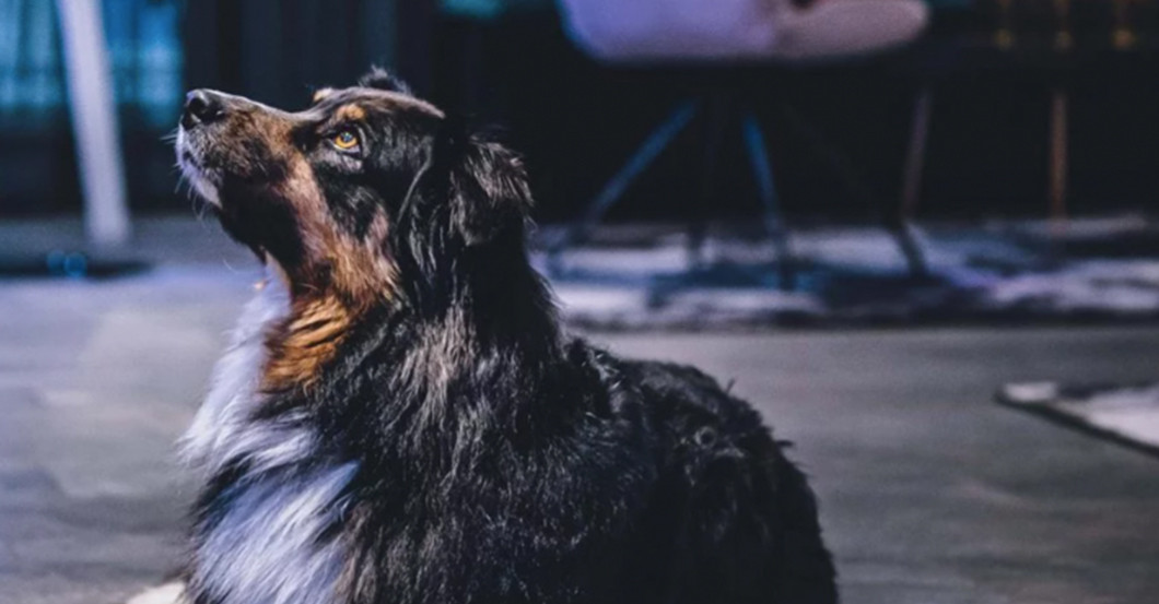 GF Lederers Leaving   GF Lederers Leaving