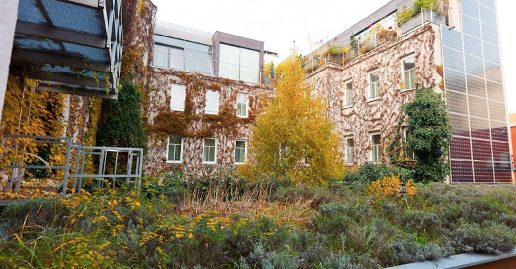  GF Otto Waalkes Paket 