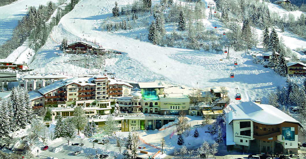 GF Polster Herzog Ski   GF Polster Herzog Ski