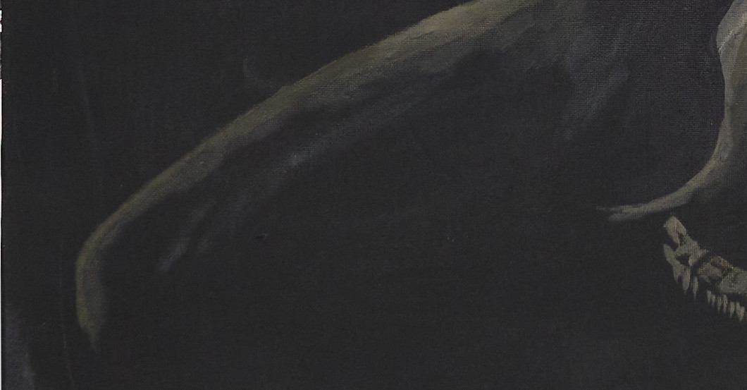 GF Rozmiarek Aries   GF Rozmiarek Aries