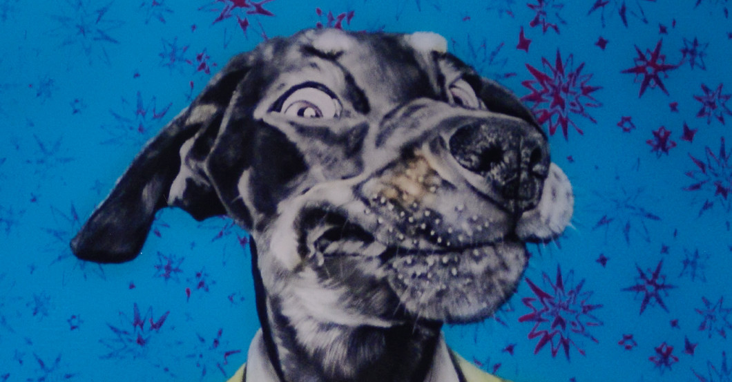 GF Ruisz Werk Dog   GF Ruisz Werk Dog