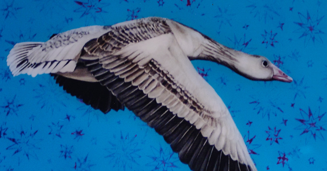 GF Ruisz Werk Dog   GF Ruisz Werk Dog