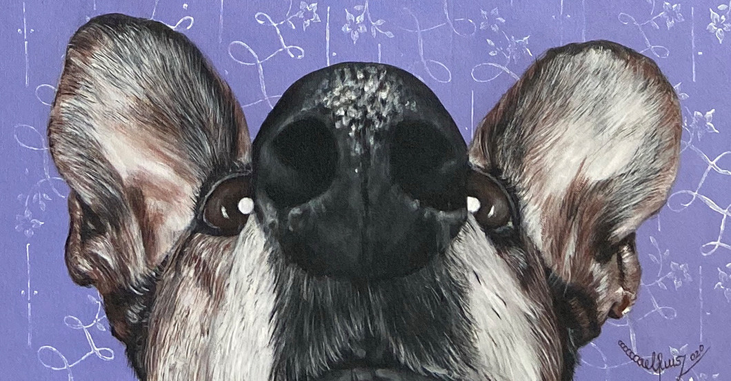 GF Ruisz Werk Guido   GF Ruisz Werk Guido