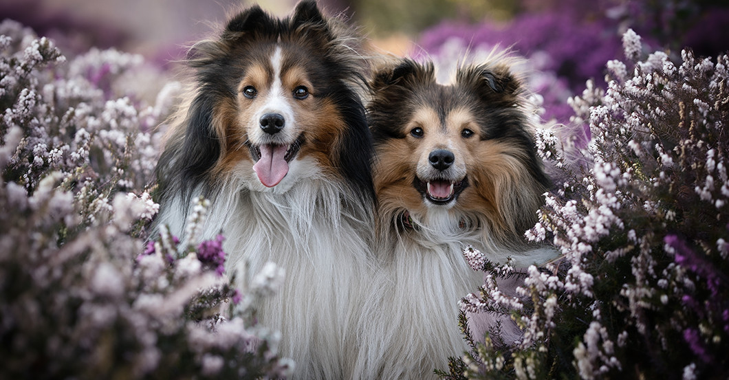 GF Shooting Petra Wentner   GF Shooting Petra Wentner