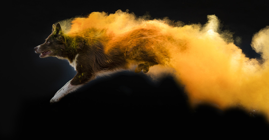 GF Shooting Petra Wentner   GF Shooting Petra Wentner