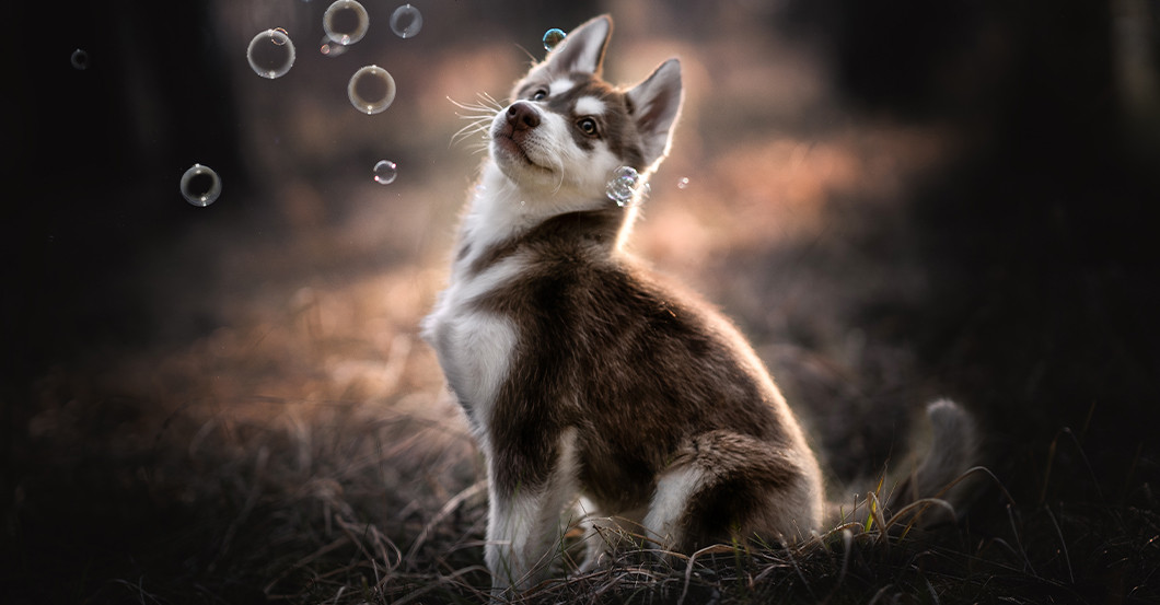 GF Shooting Petra Wentner   GF Shooting Petra Wentner