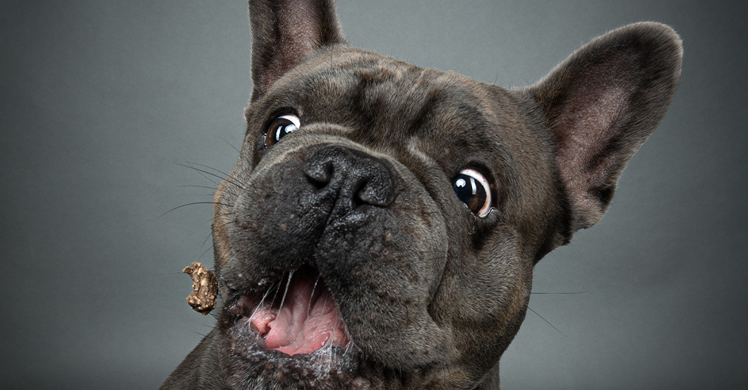 GF Shooting Petra Wentner   GF Shooting Petra Wentner