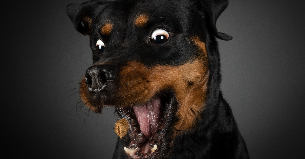 GF Shooting Petra Wentner   GF Shooting Petra Wentner