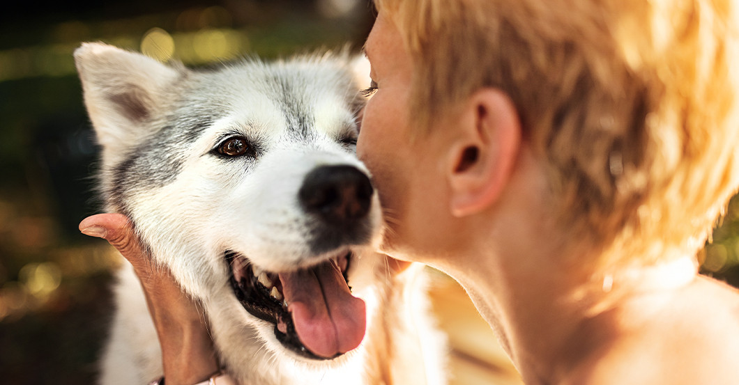 GF Tier-Fotografie   GF Tier-Fotografie