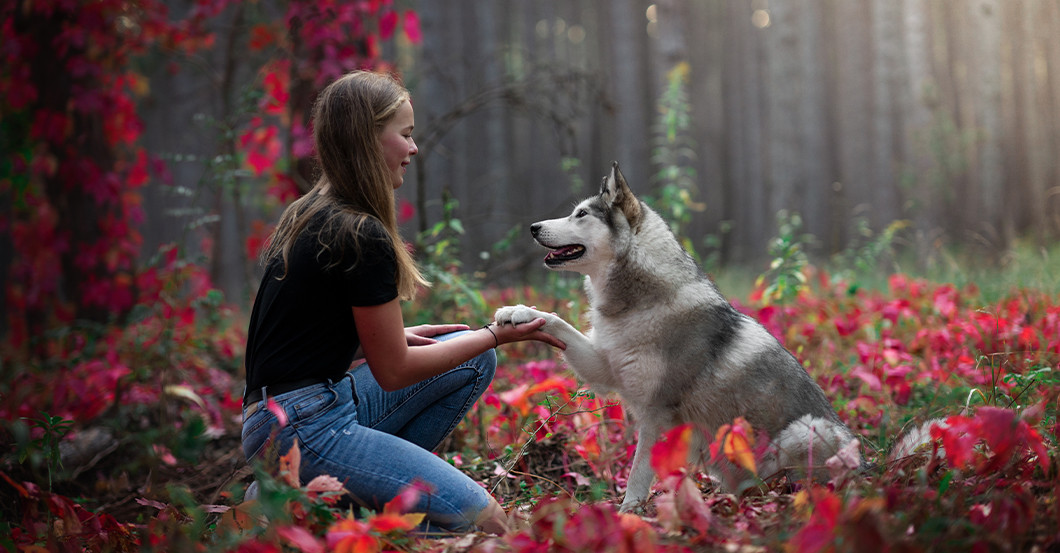 GF Tierfotografie   GF Tierfotografie