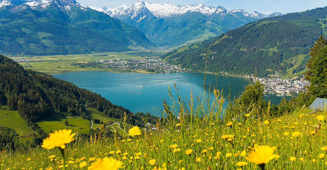 GF Vernissage Luisi   GF Vernissage Luisi