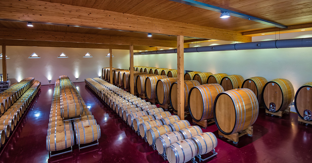 GF Weingut-Radtour   GF Weingut-Radtour