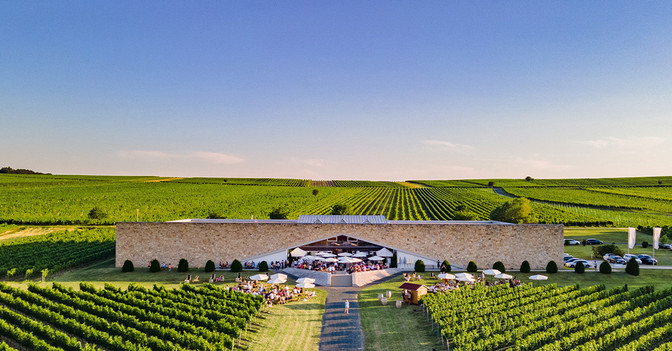 GF Weingut-Radtour   GF Weingut-Radtour