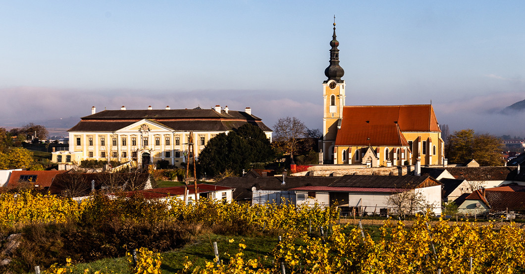  GF Weinpaket Ried Lamm 