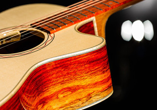  GfH Lakewood Gitarre  