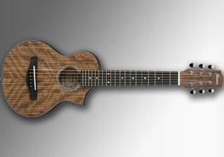  GfH PUR Gitarre 