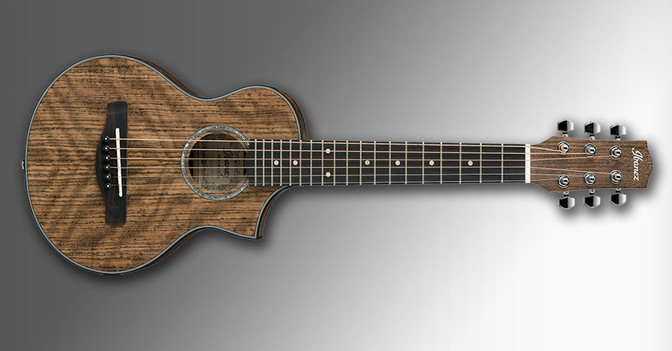 GfH PUR Gitarre 
