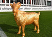  Gipsgeißbock FC gold 