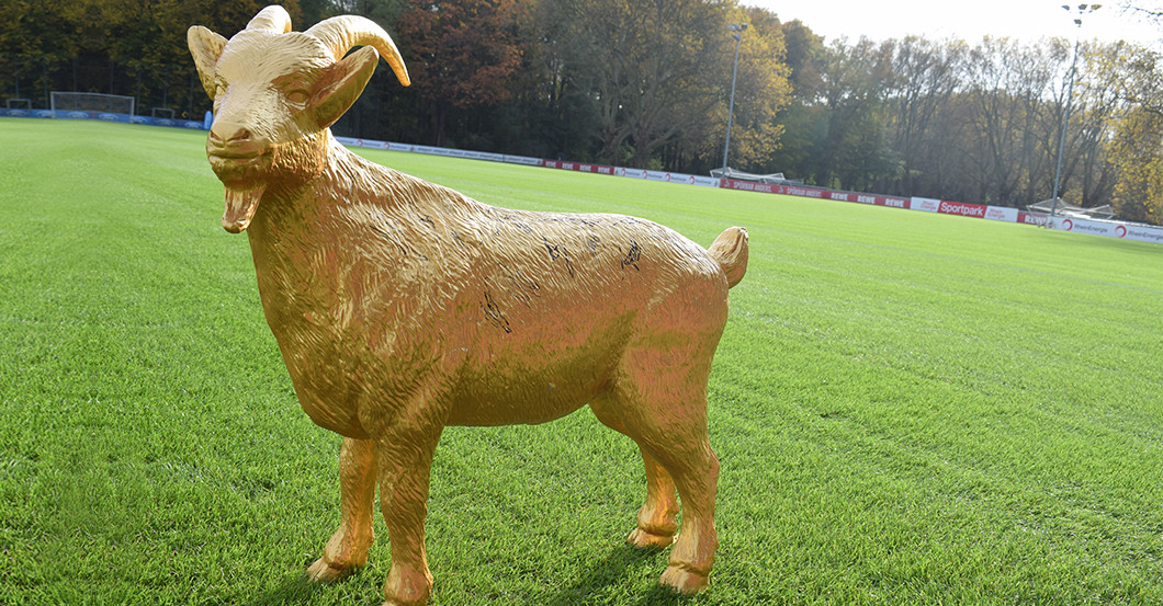 Gipsgeißbock FC gold   Gipsgeißbock FC gold