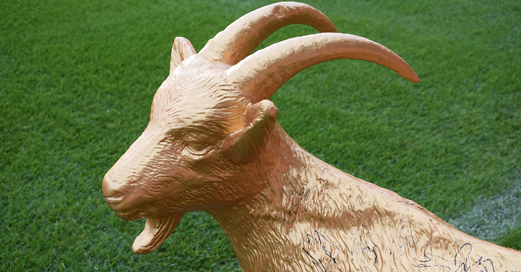 Gipsgeißbock FC gold   Gipsgeißbock FC gold