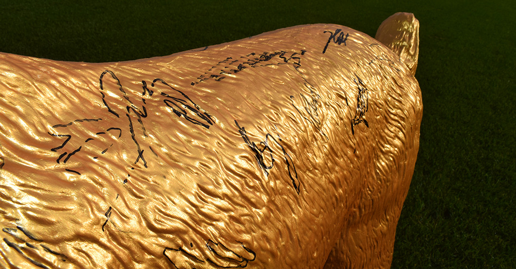 Gipsgeißbock FC gold   Gipsgeißbock FC gold