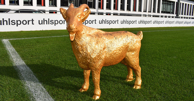 Gipsgeißbock FC gold   Gipsgeißbock FC gold