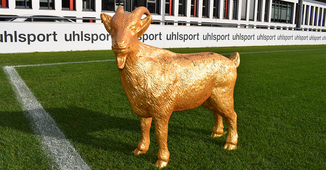 Gipsgeißbock FC gold   Gipsgeißbock FC gold