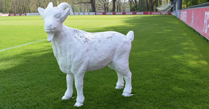  Gipsgeißbock FC Köln 