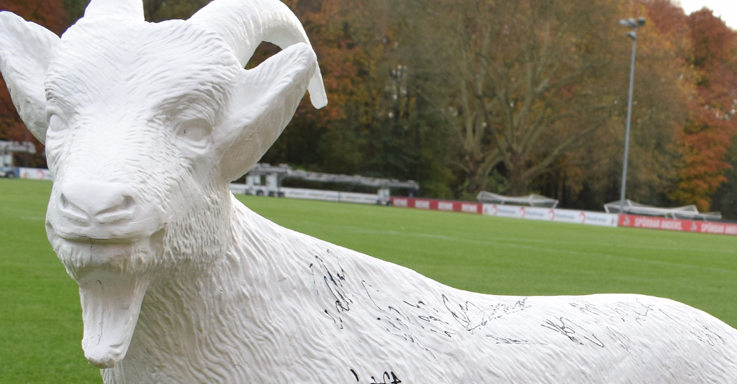 Gipsgeißbock FC   Gipsgeißbock FC