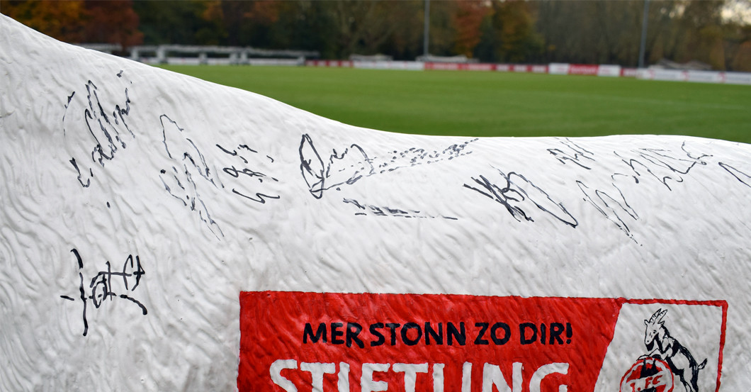 Gipsgeißbock FC   Gipsgeißbock FC