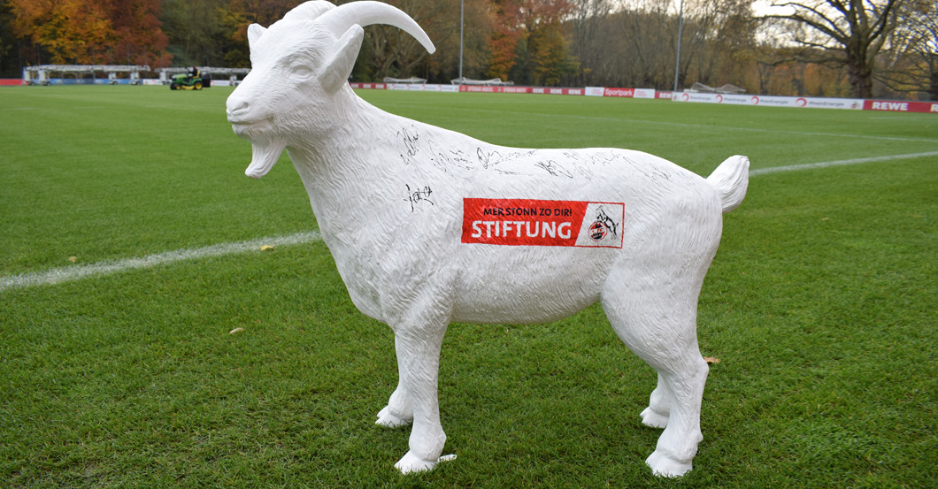 Gipsgeißbock FC   Gipsgeißbock FC