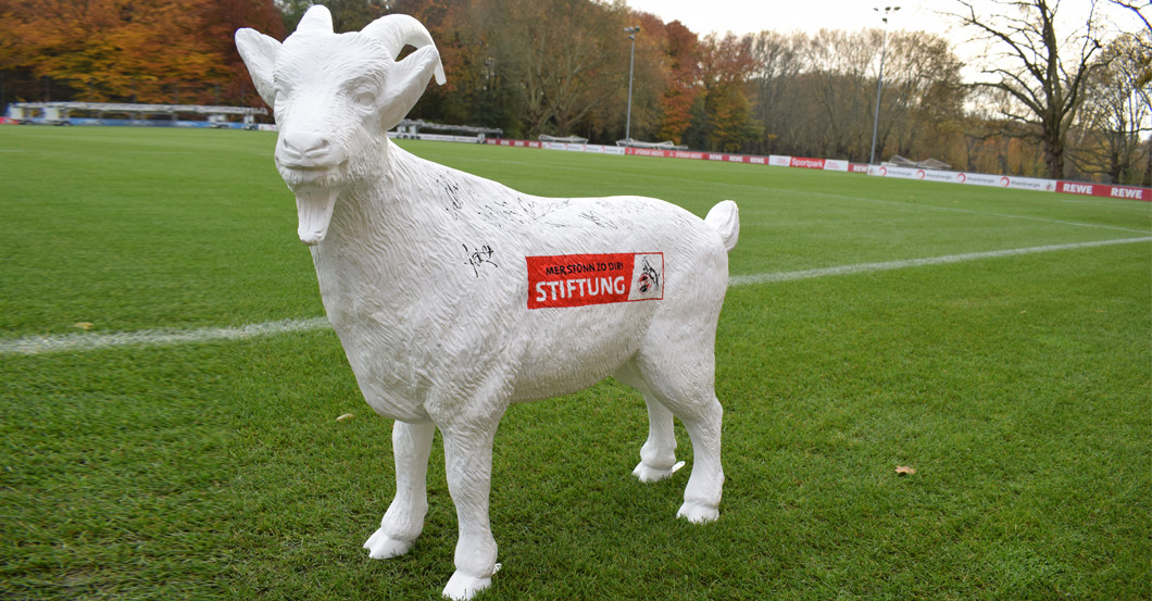 Gipsgeißbock FC   Gipsgeißbock FC